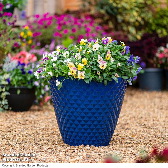 Garden Gear - Aegean Blue Diamond Planter