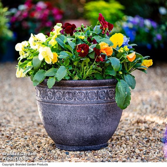 Garden Gear - Athena Antique Stone Effect Planter