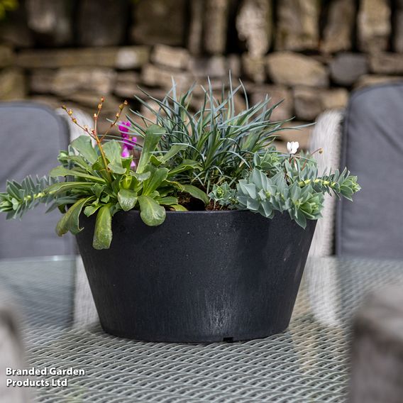 Octavia Slate Garden Planters
