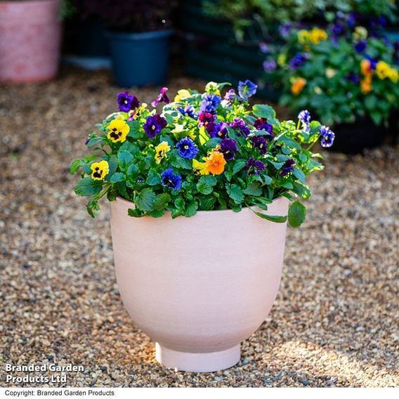 Garden Gear - Romano Terracotta Effect Planter