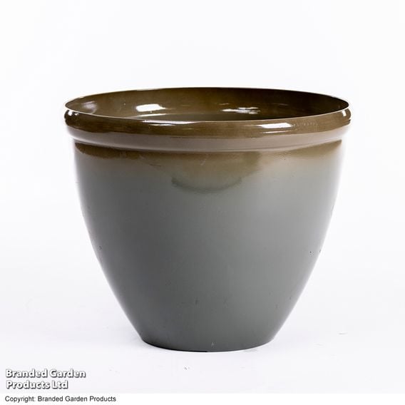 Garden Gear - Samaria Olive Glazed Effect Vase Planter