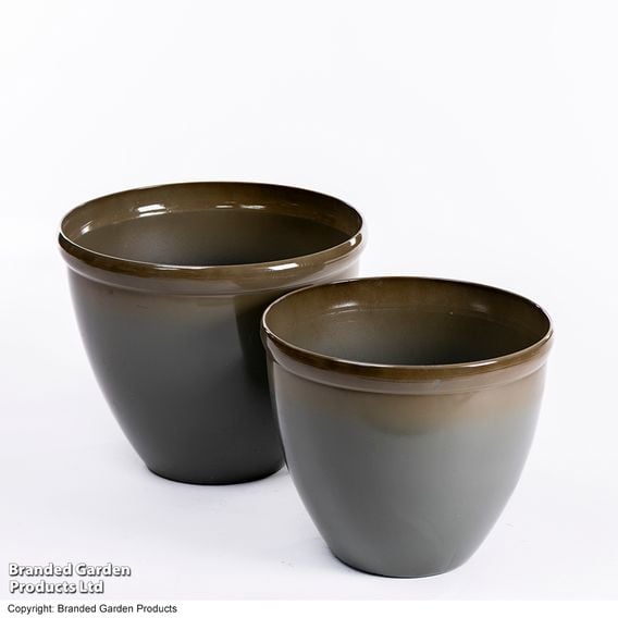 Garden Gear - Samaria Olive Glazed Effect Vase Planter