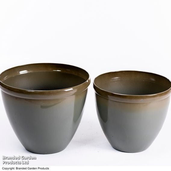 Garden Gear - Samaria Olive Glazed Effect Vase Planter