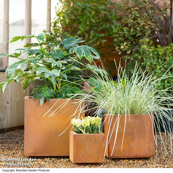 Garden Gear - Rust Effect Box Planters