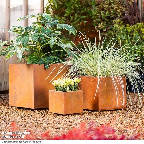 Garden Gear - Rust Effect Box Planters