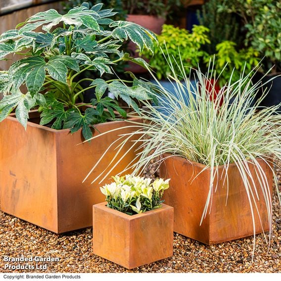 Garden Gear - Rust Effect Box Planters