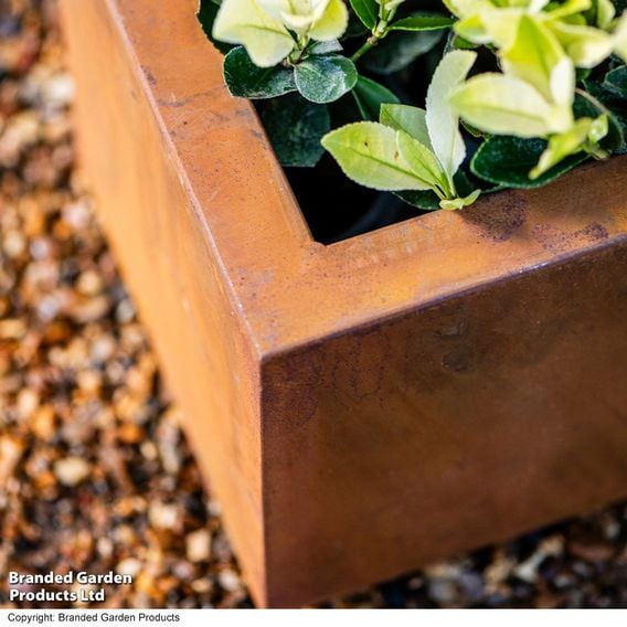 Garden Gear - Rust Effect Box Planters