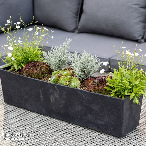 Sonata Slate Trough Planter