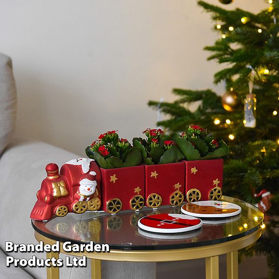 Train Set - Gift