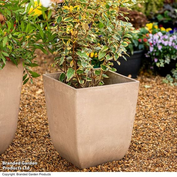 Garden Gear - Tuscany Marble & Stone Effect Planter