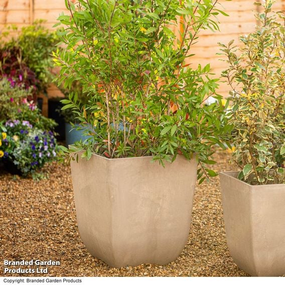Garden Gear - Tuscany Marble & Stone Effect Planter