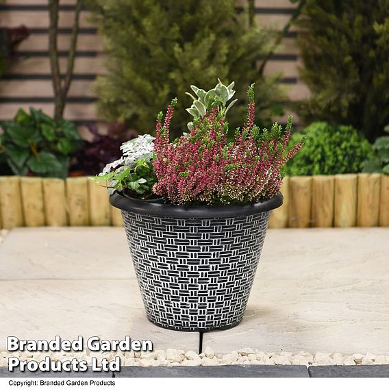 Garden Gear - Weave Effect Planter