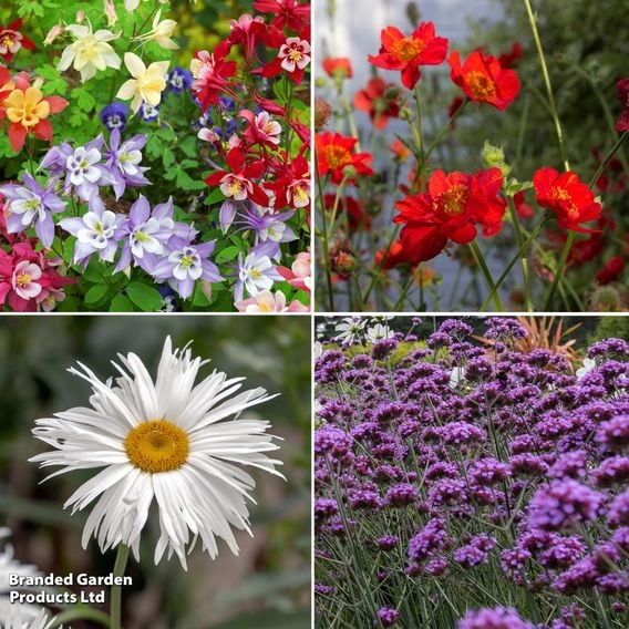 Perennial Long Flowering Saver Collection