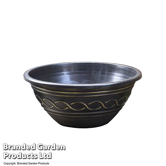 Waterlily Tricolour + Pond Basket + Black and Gold Bowl