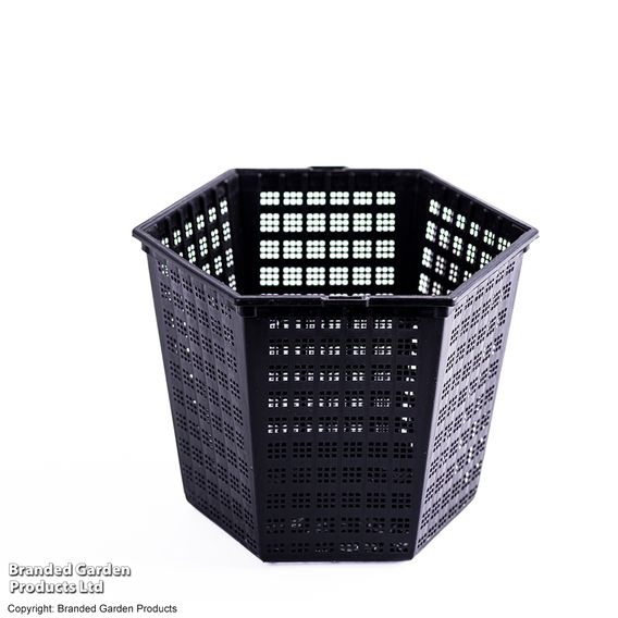 Hexagonal Aquatic Planting Basket