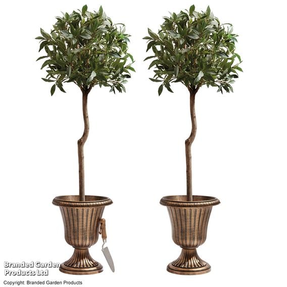 Garden Gear - Set of Two Urn Planters