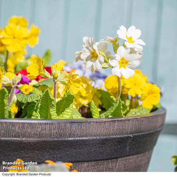 Wooden Barrel Effect Planter Collection