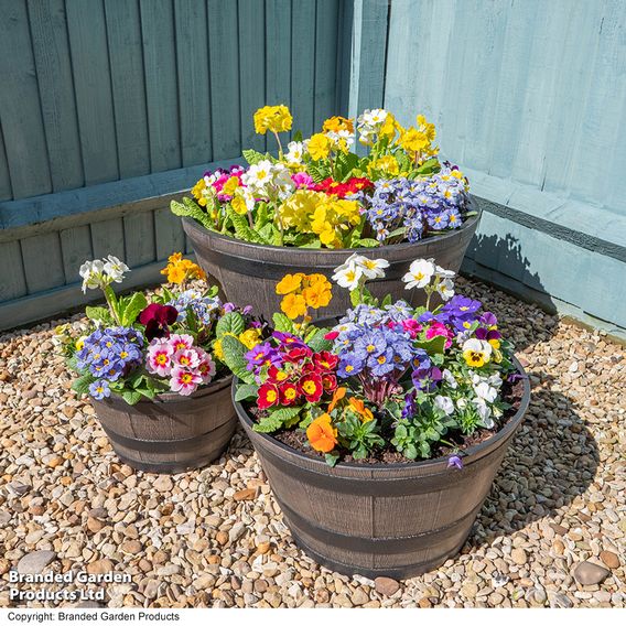 Wooden Barrel Effect Planter Collection