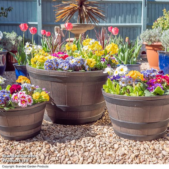 Wooden Barrel Effect Planter Collection