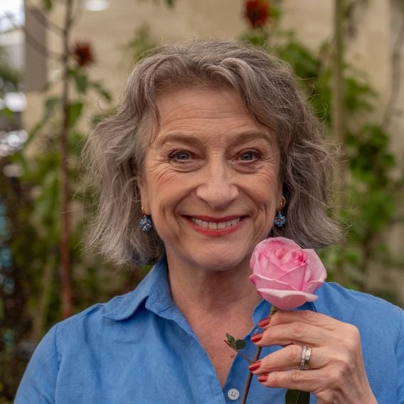 Rose 'Caroline Quentin'