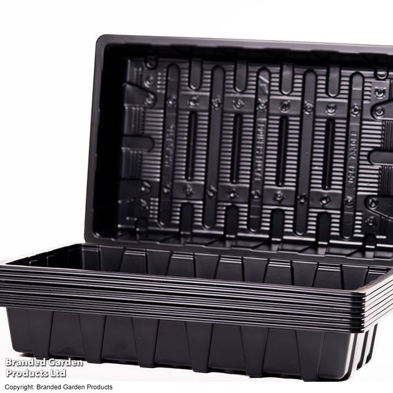 Full Size Seed Tray