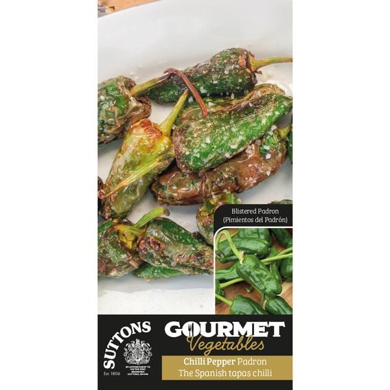 Chilli Pepper 'Padron' - Gourmet Veg Seeds