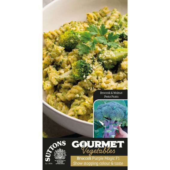 Broccoli 'Purple Magic' F1 - Gourmet Veg Seeds