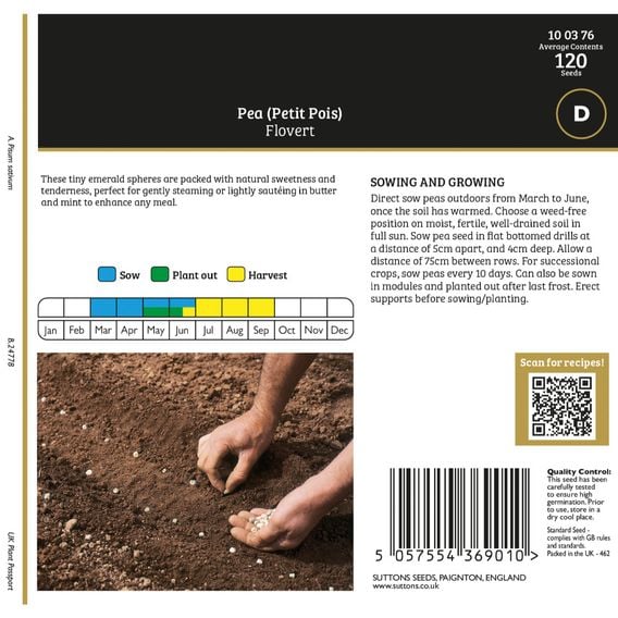 Pea 'Flovert' (Petit Pois) - Gourmet Veg Seeds