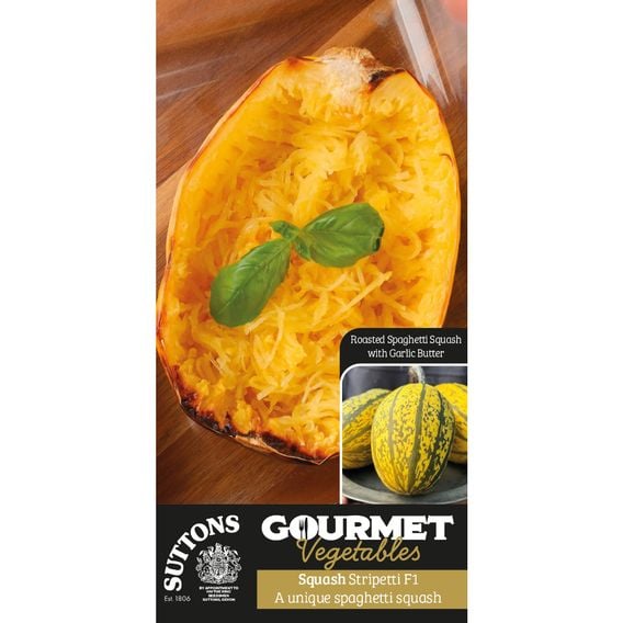 Squash 'Stripetti' (Winter) F1 - Gourmet Veg Seeds