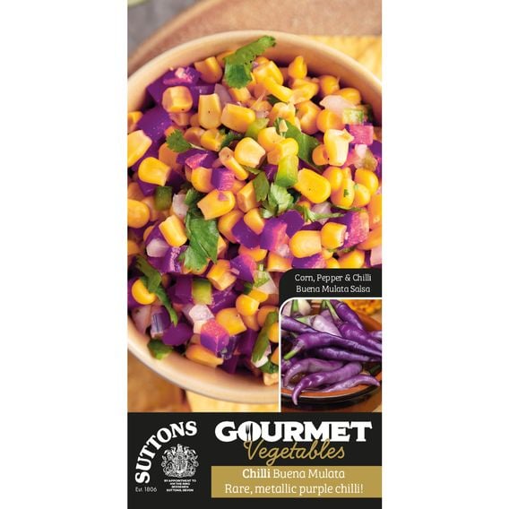 Chilli 'Buena Mulata' - Gourmet Veg Seeds