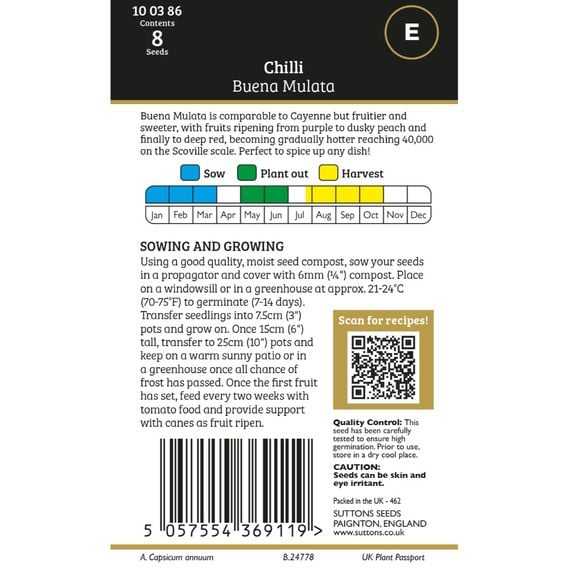 Chilli 'Buena Mulata' - Gourmet Veg Seeds