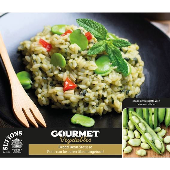 Broad Bean 'Statissa' - Gourmet Veg Seeds