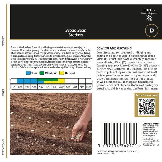 Broad Bean 'Statissa' - Gourmet Veg Seeds