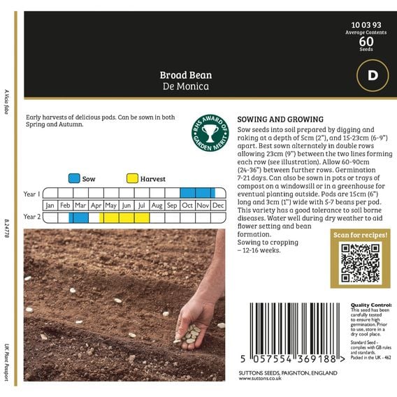 Broad Bean 'De Monica' - Gourmet Veg Seeds