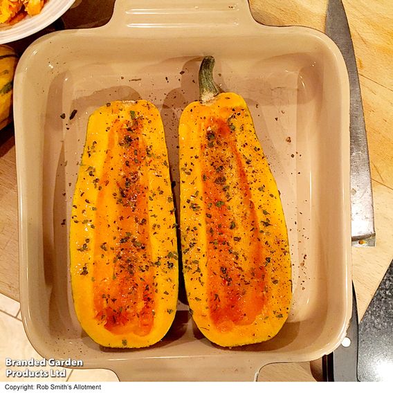 Squash 'Honeyboat' - Seeds