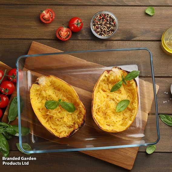 Squash 'Stripetti' (Winter) F1 - Gourmet Veg Seeds
