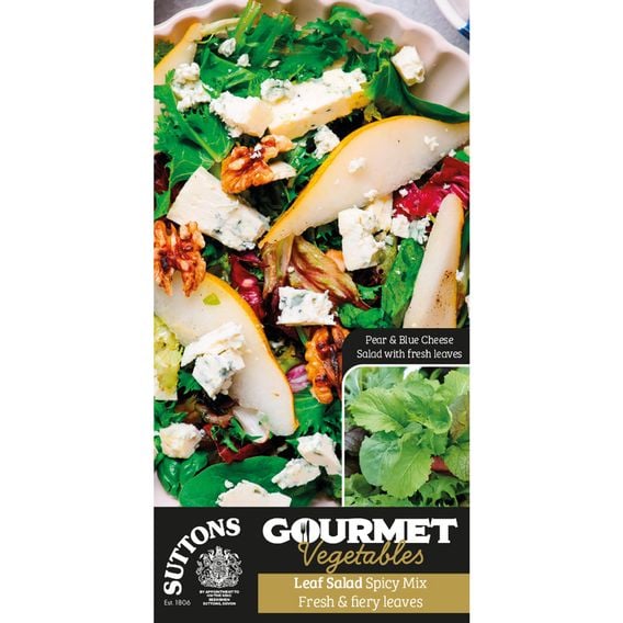 Leaf Salad 'Spicy Mix' - Gourmet Veg Seeds