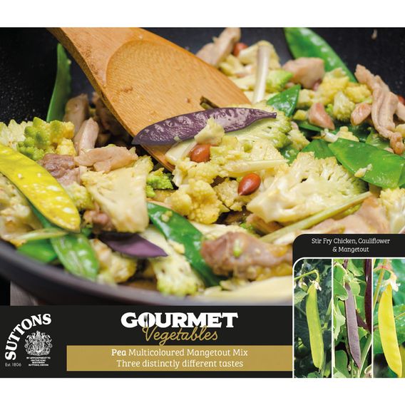 Pea Multicoloured Mix (Mangetout) - Gourmet Veg Seeds