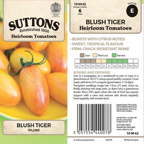 Tomato 'Blush Tiger' - Heirloom Tomato Seeds