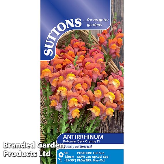 Antirrhinum majus Potomac Dark Orange F1 Seeds