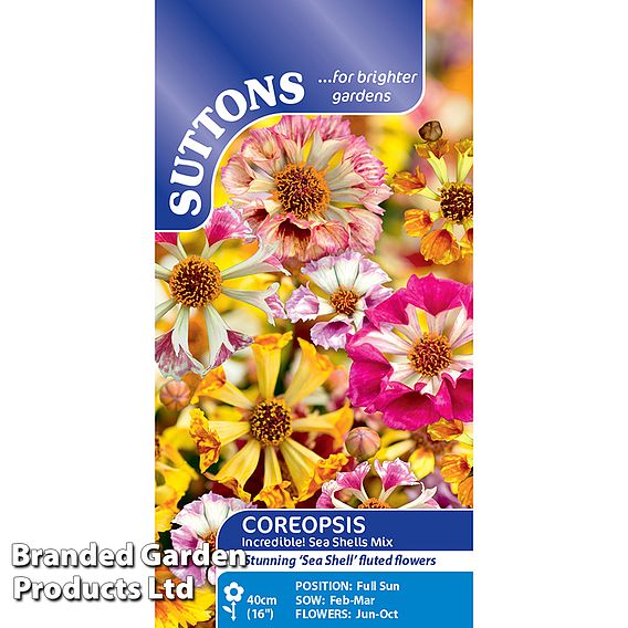 Coreopsis Incredible! Sea Shells Mix - Seeds