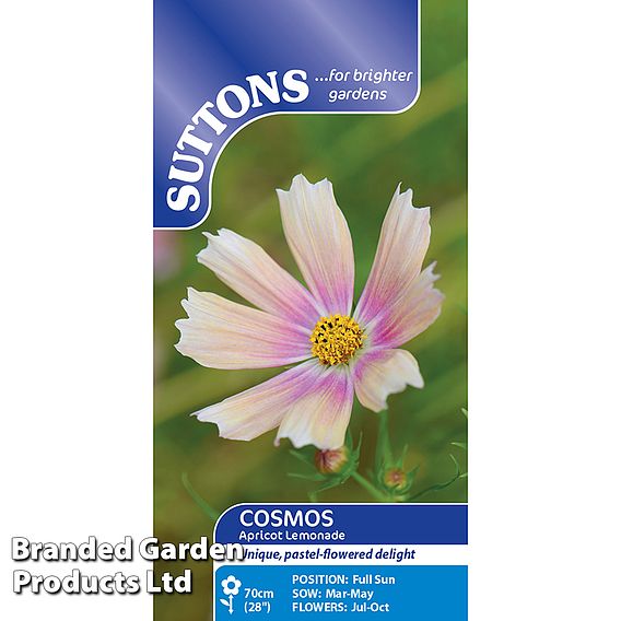 Cosmos Apricot Lemonade Seeds