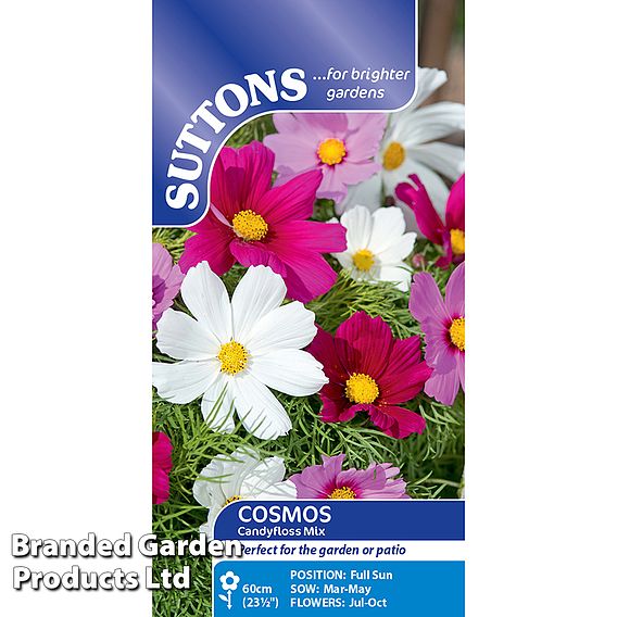 Cosmos 'Candyfloss Mix' - Seeds