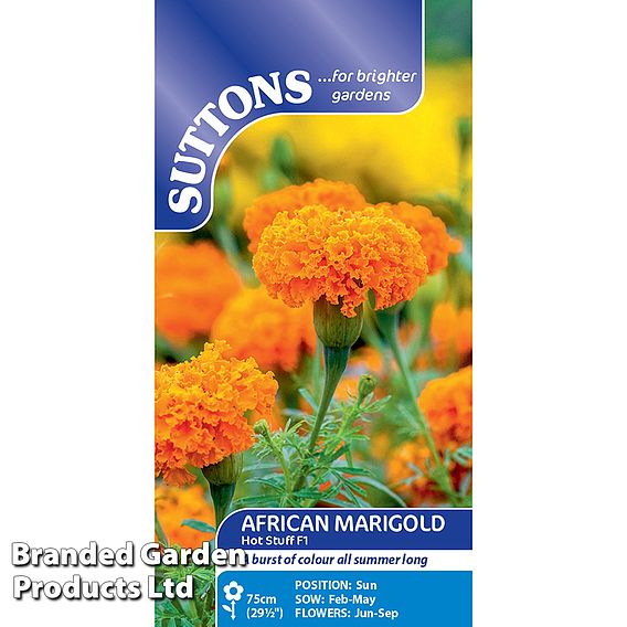 Marigold Hot Stuff - Seeds