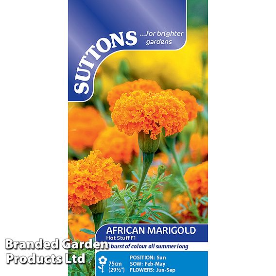 Marigold Hot Stuff Seeds