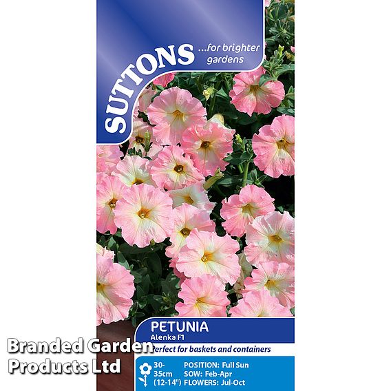 Petunia hybrida 'Alenka' F1 - Seeds