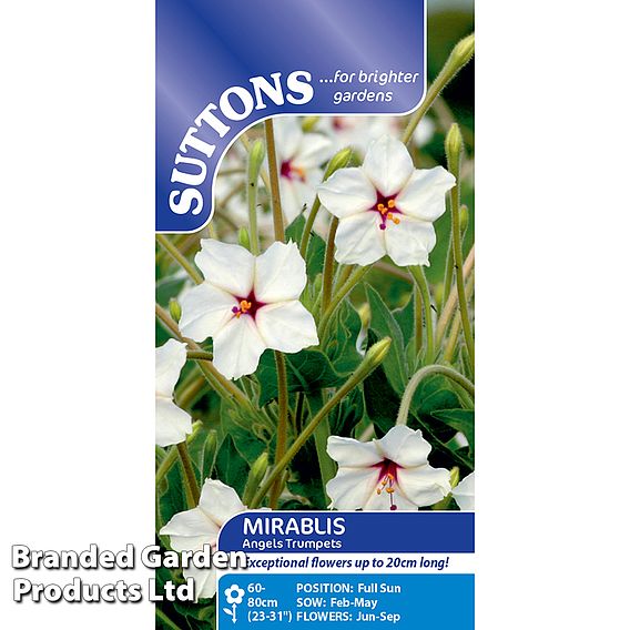 Mirabilis longiflora Angels Trumpets - Seeds