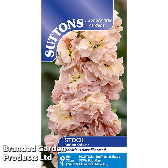 Column Stock Apricot - Seeds