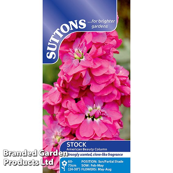 Column Stock American Beauty - Seeds