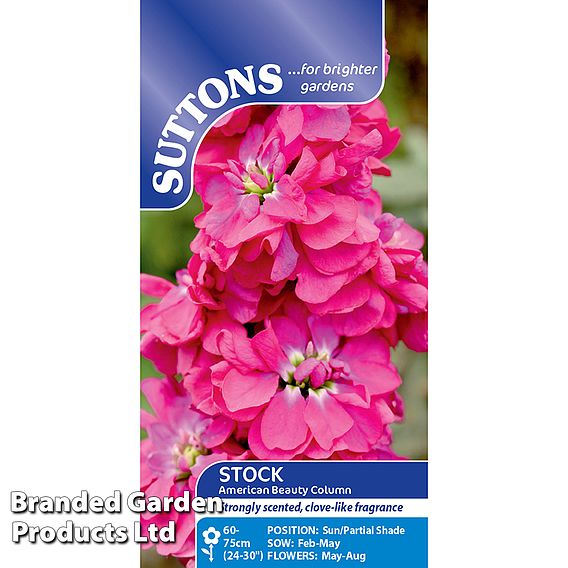 Column Stock American Beauty Seeds